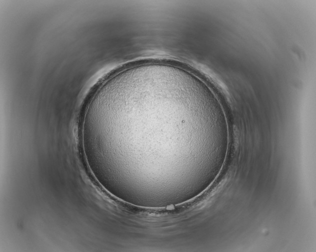 X0000111861318200907301123