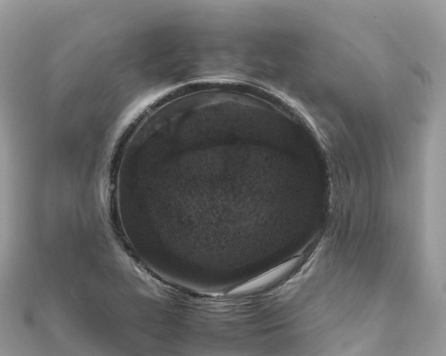 X0000111861319200907301123