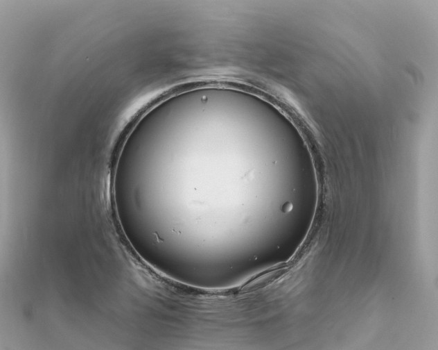 X0000111861320200907301123