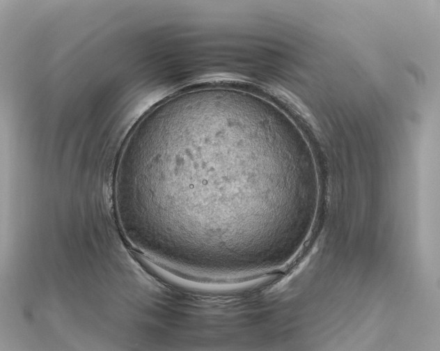 X0000111861321200907301123