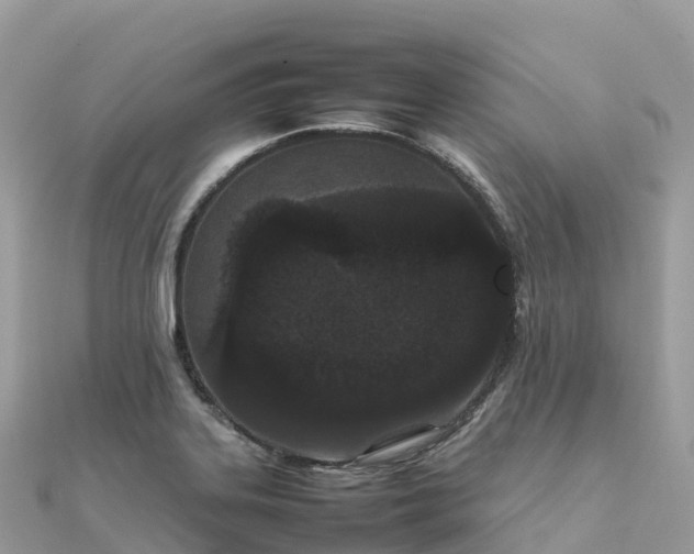 X0000111861323200907301123