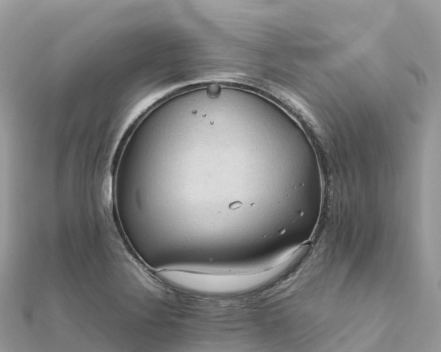 X0000111861324200907301123