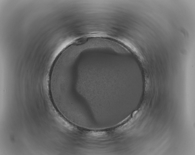 X0000111861325200907301123