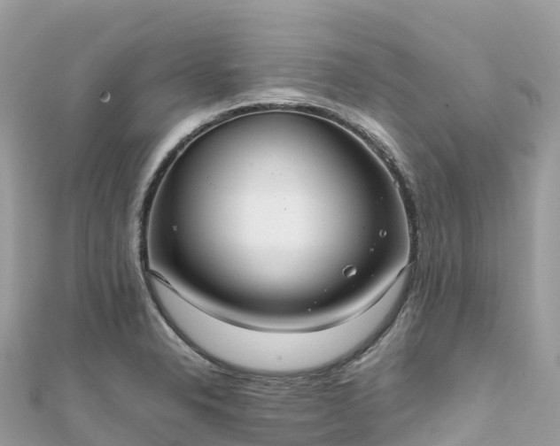 X0000111861326200907301123