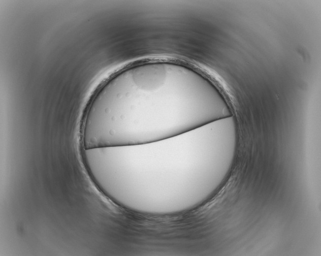 X0000111861327200907301123