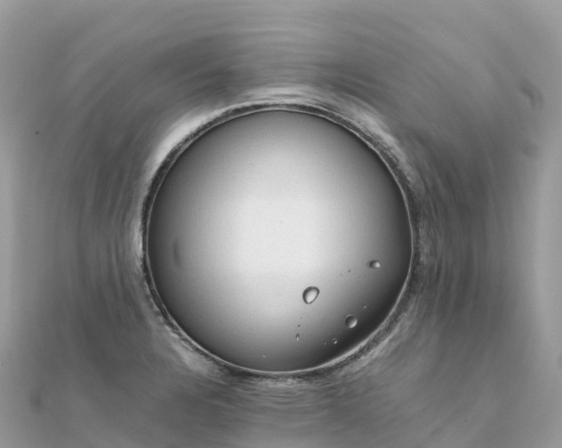 X0000111861328200907301123