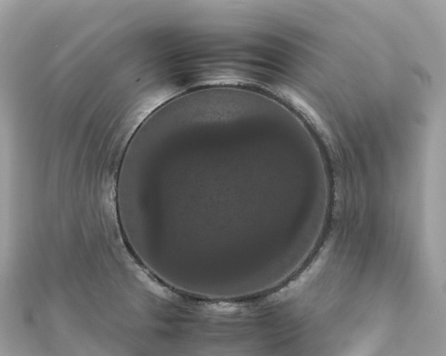 X0000111861329200907301123