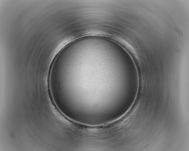 X0000111861330200907301123