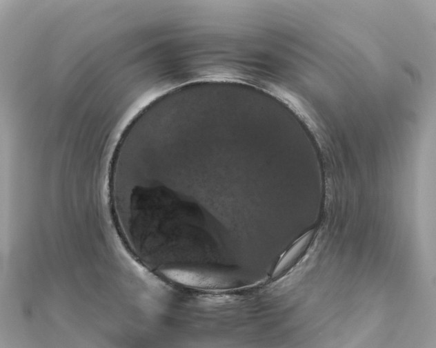 X0000111861331200907301123