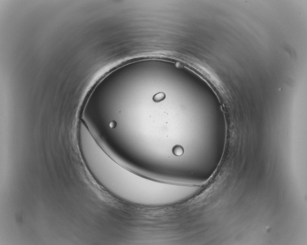 X0000111861332200907301123