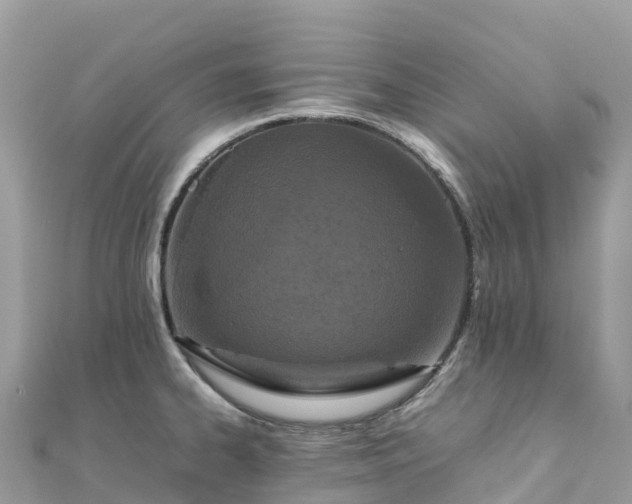 X0000111861334200907301123