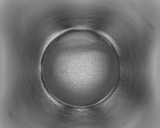 X0000111861335200907301123