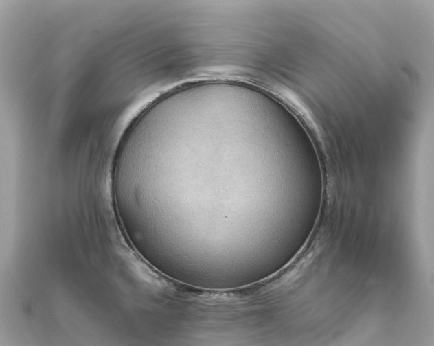 X0000111861336200907301123