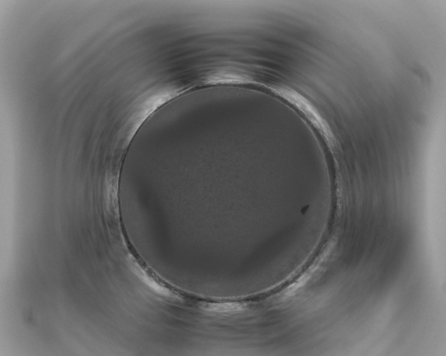 X0000111861337200907301123