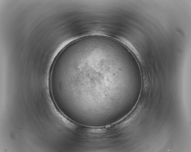 X0000111861339200907301123