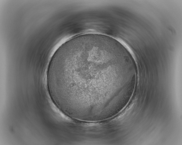 X0000111861341200907301123