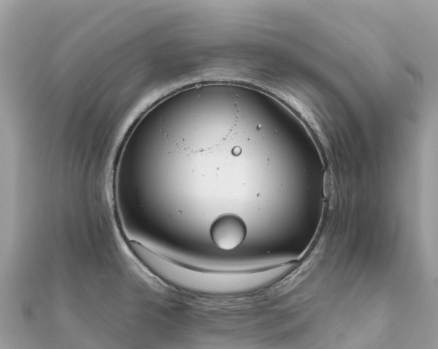 X0000111861342200907301123