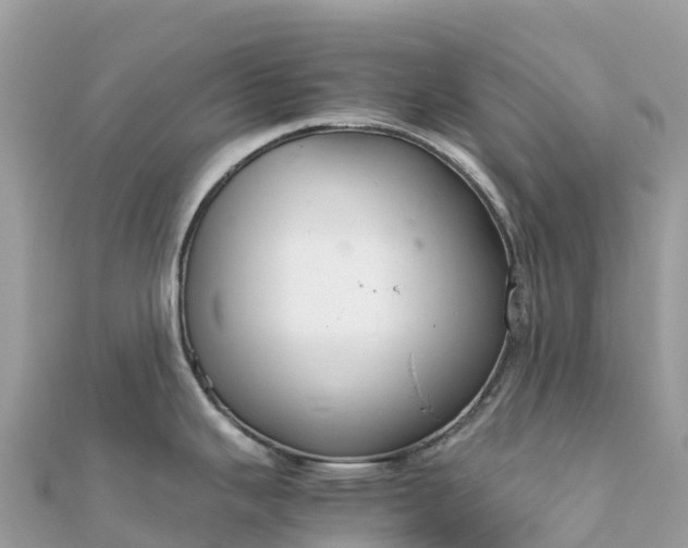 X0000111861343200907301123