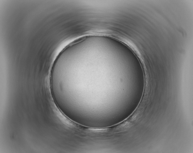 X0000111861344200907301123