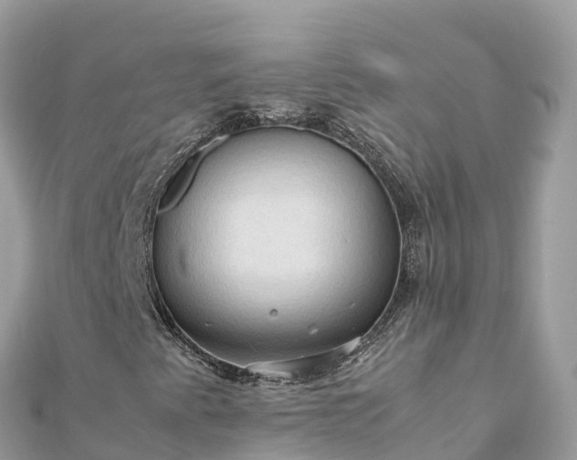 X0000111861345200907301123