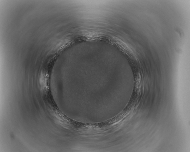 X0000111861346200907301123