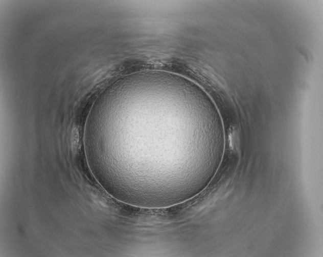 X0000111861347200907301123