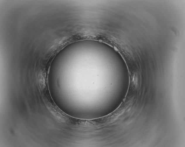 X0000111861348200907301123