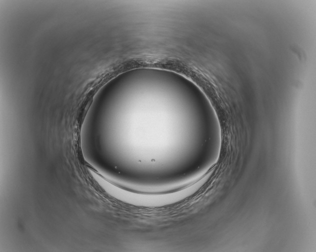 X0000111861349200907301123