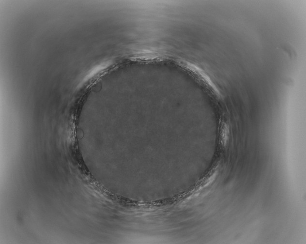 X0000111861350200907301123