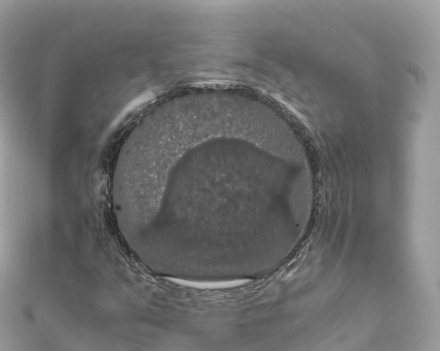 X0000111861351200907301123