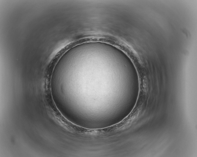 X0000111861352200907301123