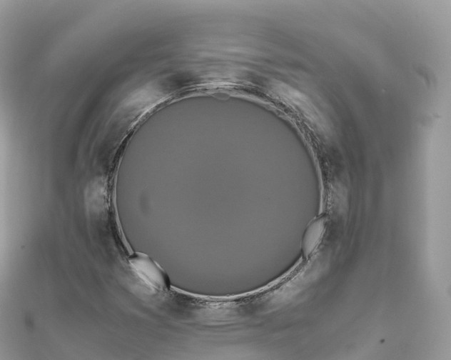 X0000111861353200907301123