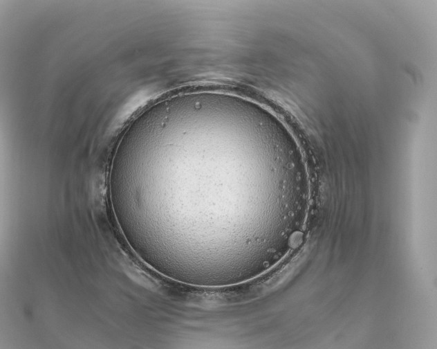 X0000111861355200907301123