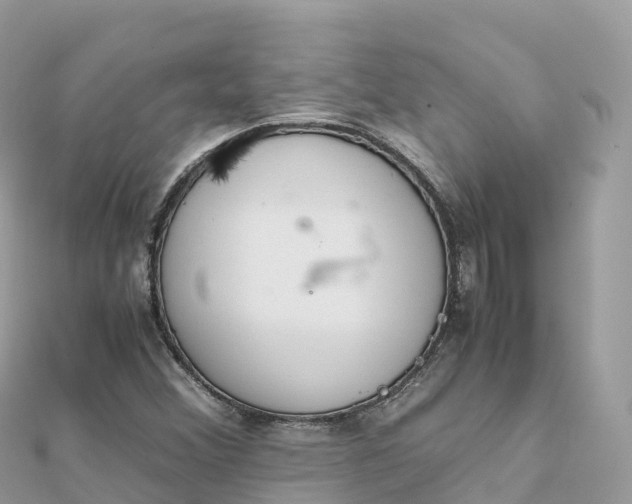 X0000111861356200907301123