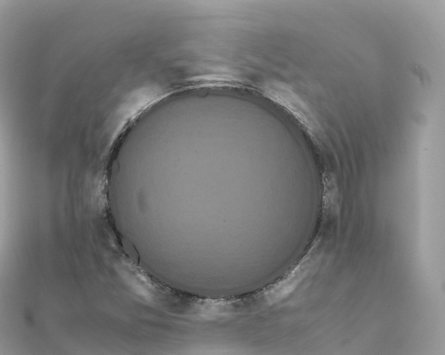 X0000111861357200907301123