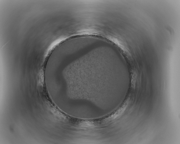 X0000111861358200907301123