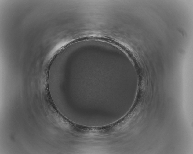 X0000111861359200907301123