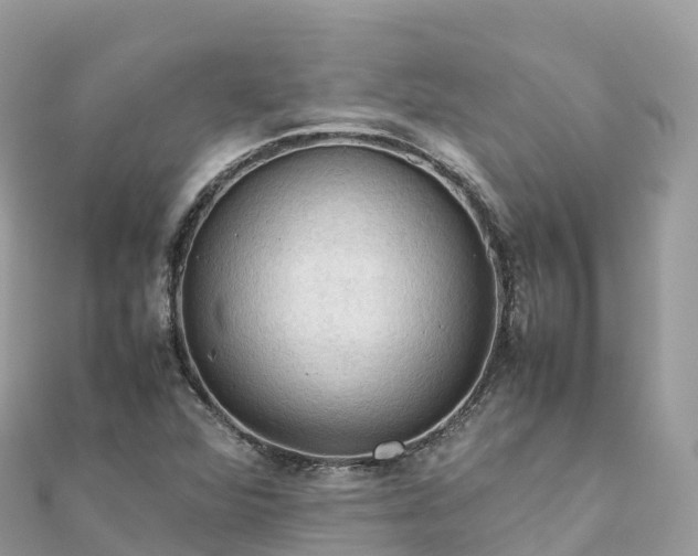 X0000111861360200907301123