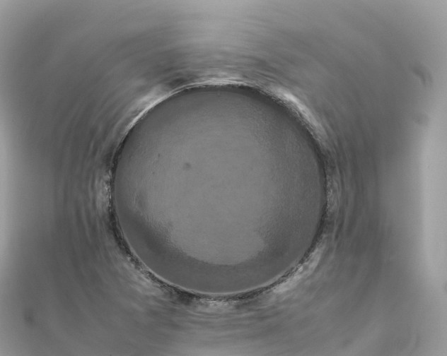 X0000111861361200907301123