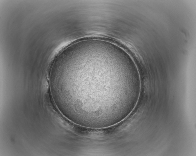 X0000111861363200907301123