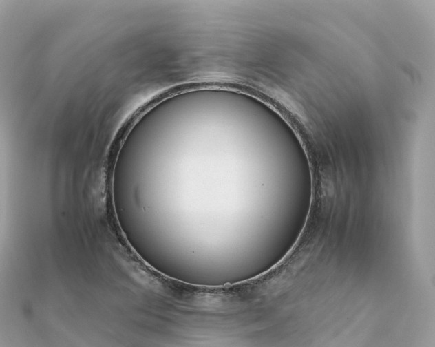 X0000111861364200907301123