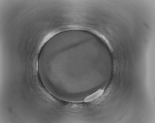 X0000111861365200907301123