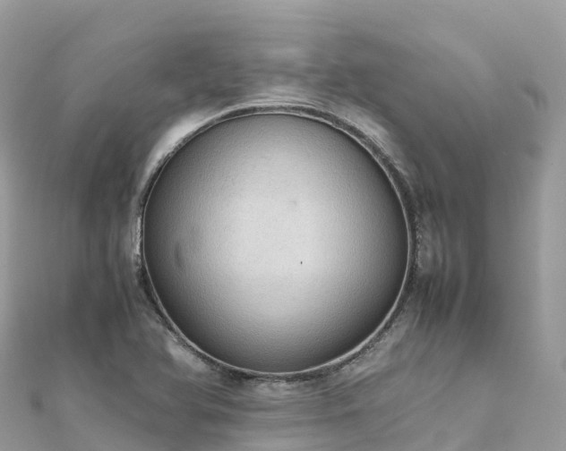 X0000111861366200907301123