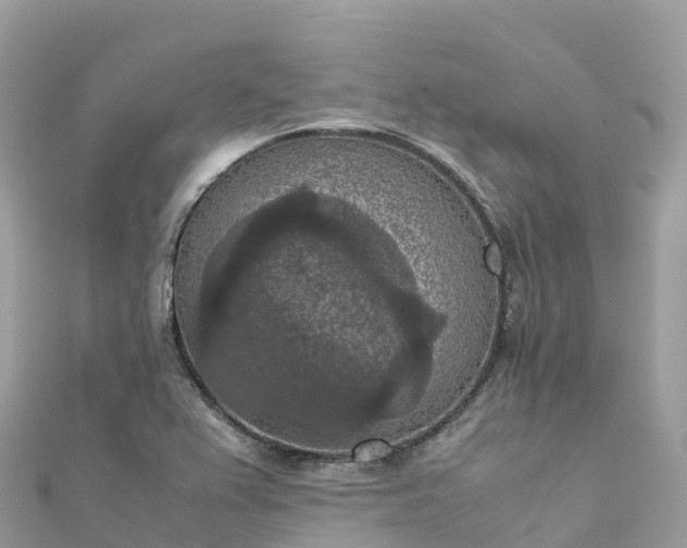 X0000111861367200907301123