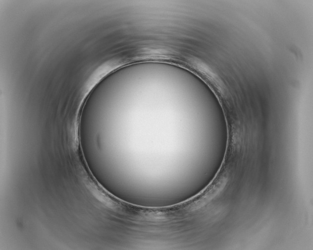 X0000111861370200907301122