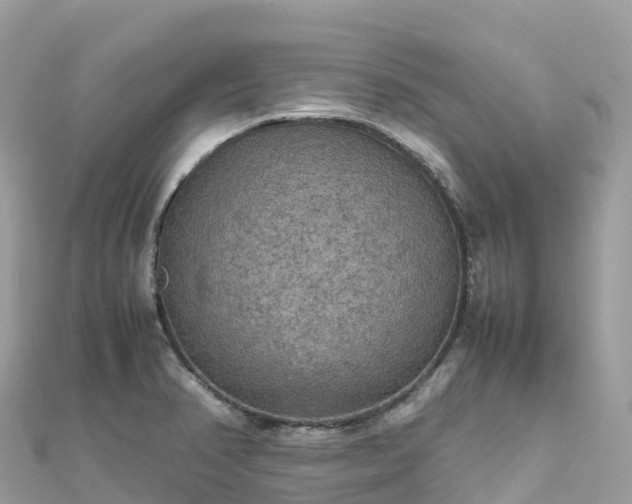 X0000111861374200907301122