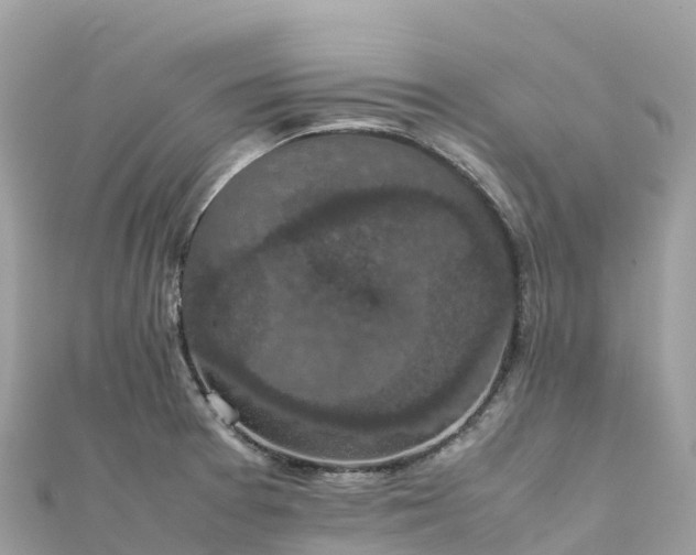 X0000111861377200907301122