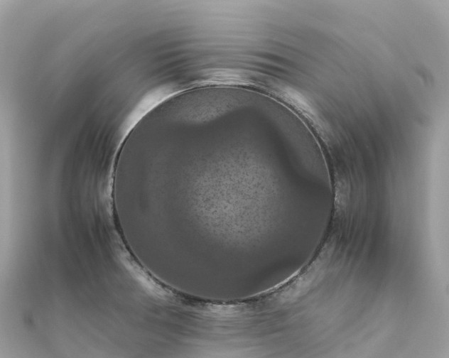 X0000111861378200907301122