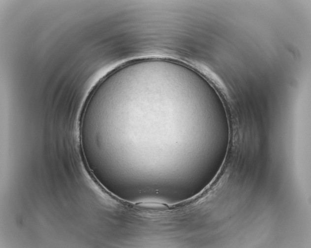 X0000111861380200907301122