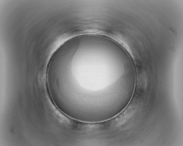 X0000111861381200907301122